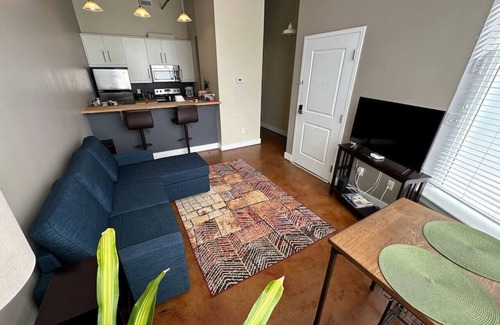 Roanoke Apartment | Chic walkable apt with rooftop views