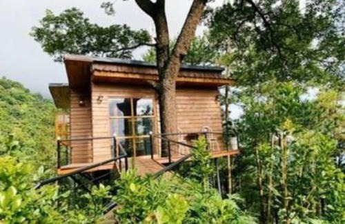 Tam Dao Ski Chalet | Chillout Village - Homestay Tam Đảo