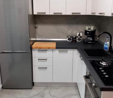 Tirgu Ocna Apartment | Chiriac's House