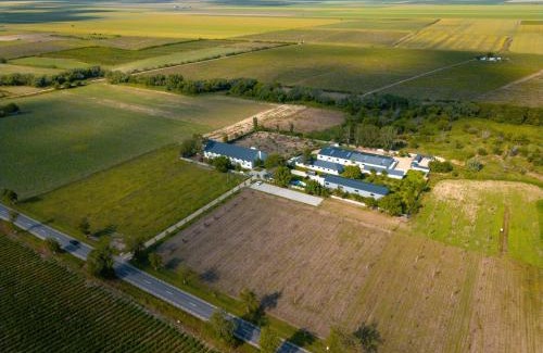 Nicoresti House | CHR Vista