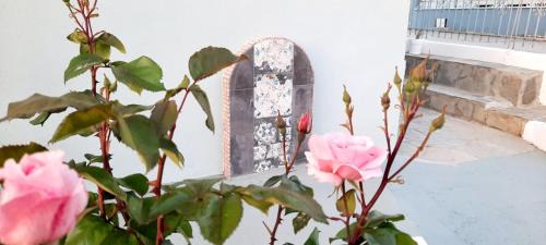 Skala Sotiros Apartment | Chrissi Princess