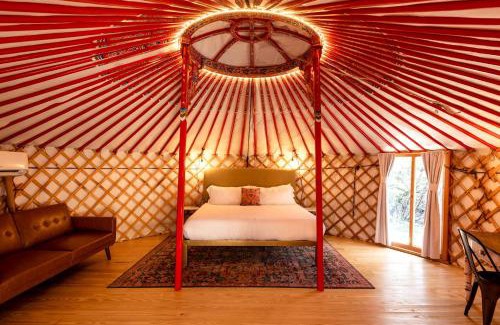 Dripping Springs Other | Chrissie Ger in Dripping Springs, TX