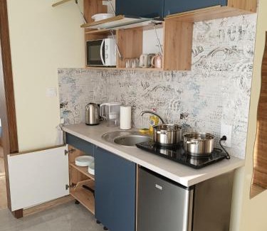 Tylicz House | Chruścielówka ap nr 1