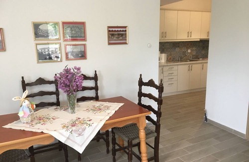 Pyrgiotika House | Chryssa's garden apartment