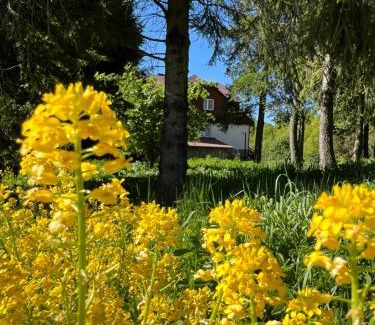 Cisna Resort | Cicha Dolina