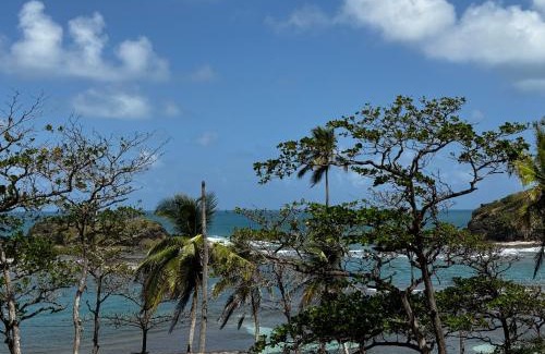 Eastern Panama Hotel | Ciel y Miel