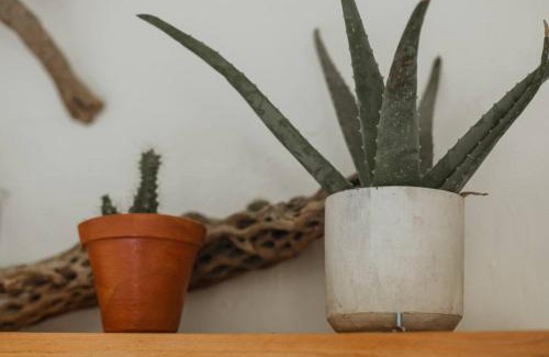Todos Santos House | Cien Palmas- Authentic Mexican Casita 2 -Downtown