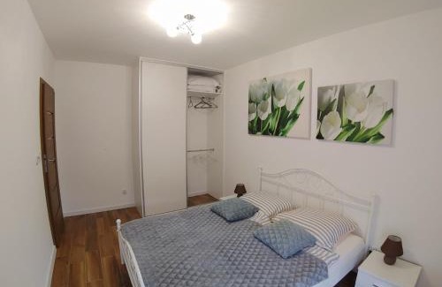 Mysliborz Apartment | Cienista Myślibórz AN