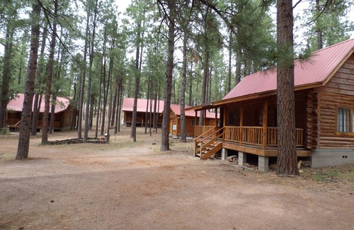 Alpine Cabin | Circle Pine Ranch - "The Real Log Cabin Experience"