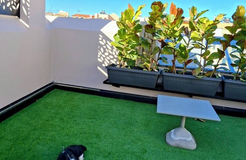 Old Town Apartment | Citrus Daliani Rooms
