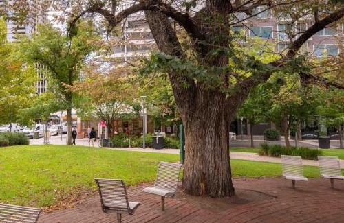 Adelaide Central Business District Apartment | City apartment, pool & carpark