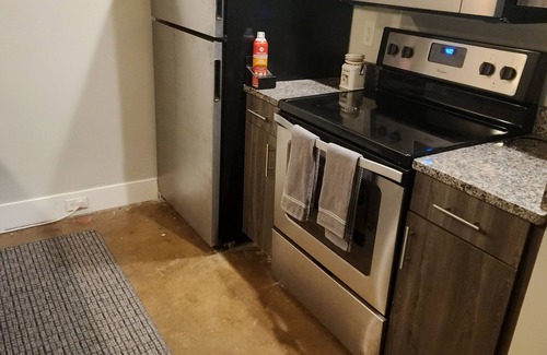 Monroe Ward Condo | City Arts District in Downtown VCU MCV