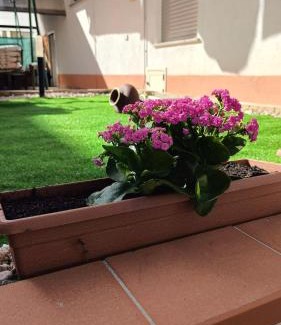 Acri Bed & Breakfast | Civico 185