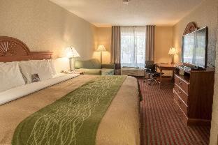 Mount Pleasant Hotel | Clarion Pointe Racine - Mount Pleasant