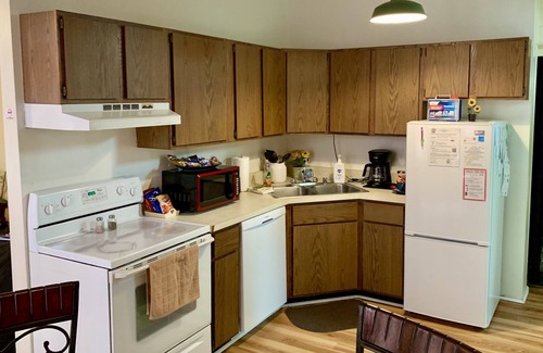 Ypsilanti Apartment | Classic & Charming Downtown Loft