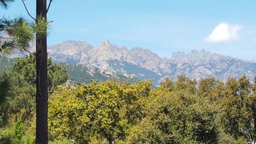 Pinarellu House | Clos Jeannette Villa près de la plage de Pinarelle et des piscines naturelles du Cavu