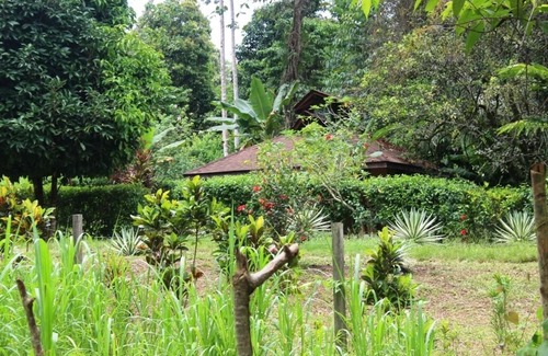 Cahuita Cabin | Close to the beach! Cabina C 1 for up to 5 people. Fully equipped kitchen!