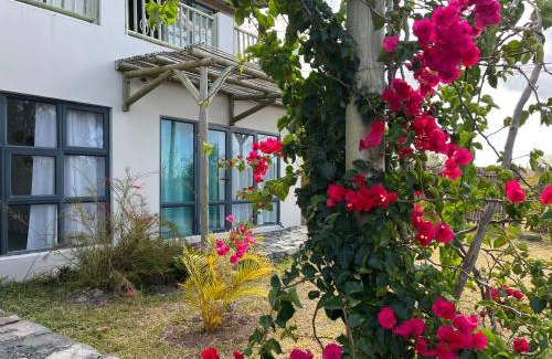 Coromandel Apartment | COCO MANGO Villa