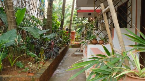 Morjim House | Coco Moon