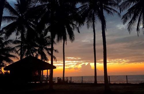 Gurupokuna Bed & Breakfast | Coconut Grove Beach Cabanas