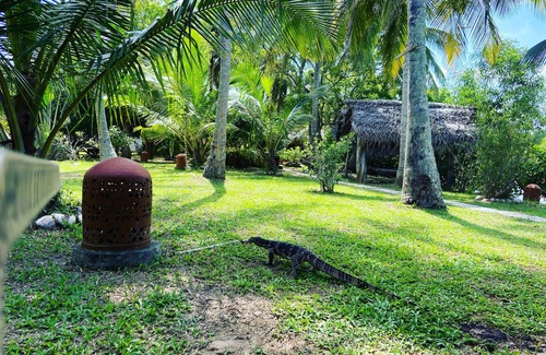 Tangalle House | coconut island cabanas