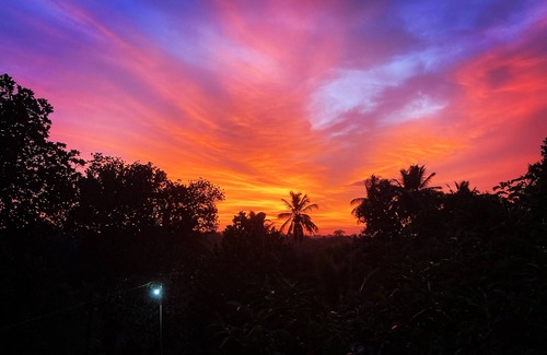 Tangalle House | coconut island cabanas