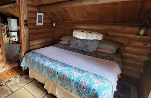 Carthage House | Colby's Cabin RUSTIC Off Grid Wilderness Retreat