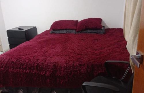 Lince House | Colibri