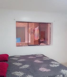 Lince House | Colibri