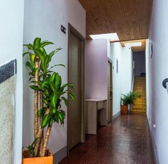 Pereira House | Coliving La Rebeca Pereira