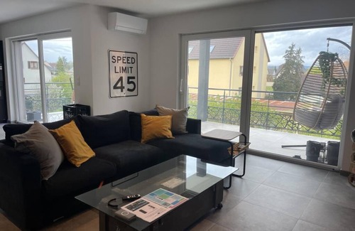 Widensolen Apartment | Colmar Appartement Terrasse 10min Centre Ville, Proche Europapark