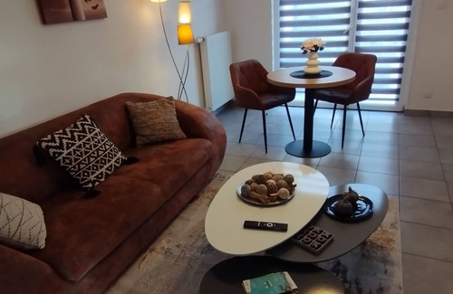 Horbourg-Wihr Apartment | Colmar garden level with closed garage.