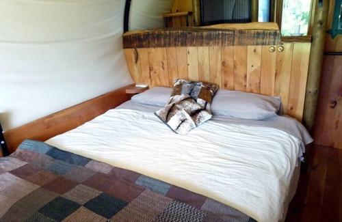 Kaikoura Bed & Breakfast | COLONIAL WAGON + sleepout - Wacky Stays - 6 UNIQUE rentals in Kaikoura