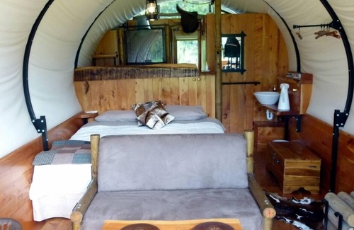 Kaikoura Bed & Breakfast | COLONIAL WAGON + sleepout - Wacky Stays - 6 UNIQUE rentals in Kaikoura