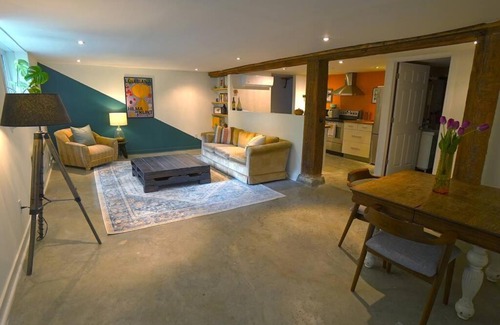 Cote-Des-Neiges—Notre-Dame-De-Grace Apartment | Colourful and Bright Renovated Basement Suite