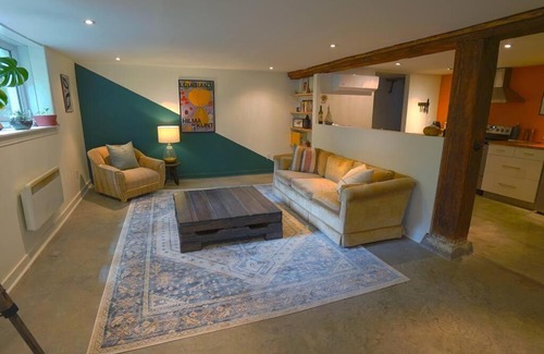Cote-Des-Neiges—Notre-Dame-De-Grace Apartment | Colourful and Bright Renovated Basement Suite
