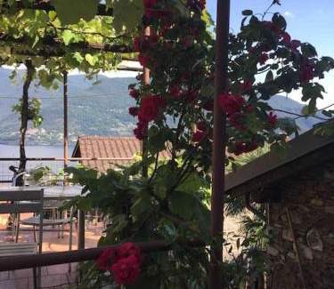 Brissago House | Come Relax and Enjoy the Breathtaking Views