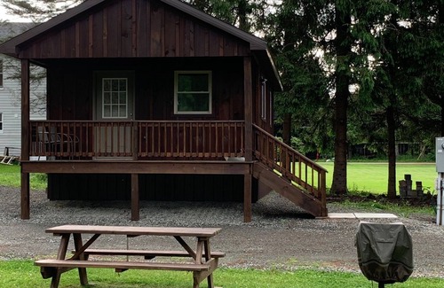 Hancock Cabin | Come stay in a quiet country setting steps from the Delaware River.