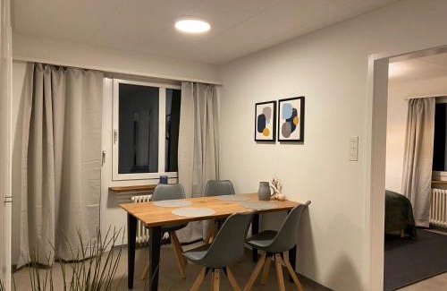 Seebach Apartment | Comfort 1 and 2BDR Apartment close to Zurich Airport