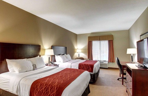 Alvarado Hotel | Comfort Inn And Suites Alvarado