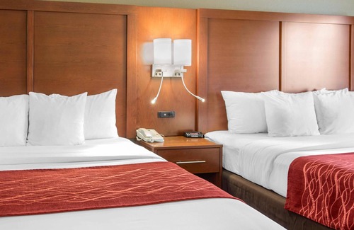 The East Side Hotel | Comfort Inn and Suites San Francisco Airport North