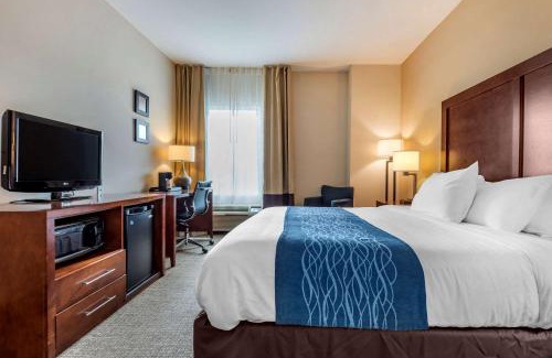 Apalachin Hotel | Comfort Inn Apalachin - Binghamton W Route 17
