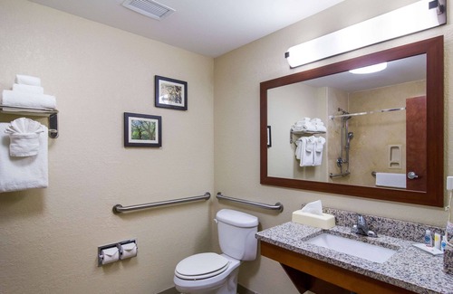 Blackshear Hotel | Comfort Inn Blackshear Hwy 84