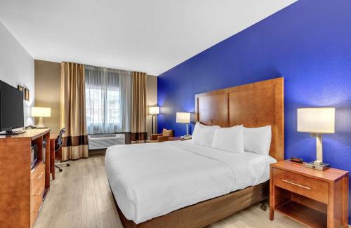 Wheat Ridge Hotel | Comfort Inn Denver West Arvada Station
