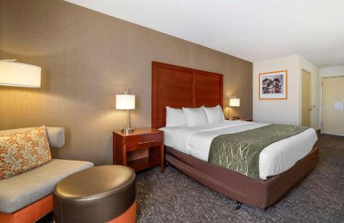 Eureka Hotel | Comfort Inn Humboldt Bay
