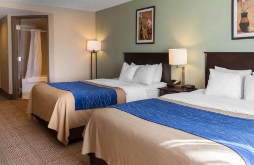 Dumfries Hotel | Comfort Inn Near Quantico Main Gate North