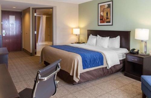 Dumfries Hotel | Comfort Inn Near Quantico Main Gate North