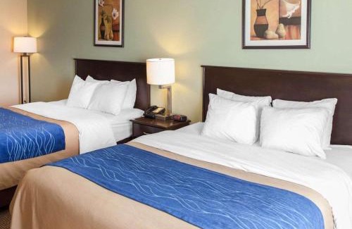 Dumfries Hotel | Comfort Inn Near Quantico Main Gate North