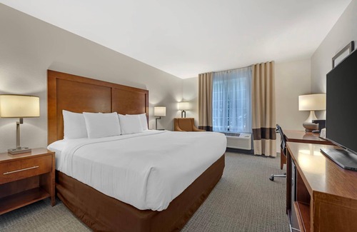 Carbondale Hotel | Comfort Inn & Suites Carbondale on the Roaring Fork