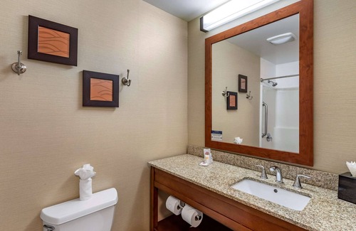 Carbondale Hotel | Comfort Inn & Suites Carbondale on the Roaring Fork